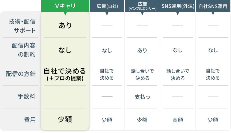 Vキャリはここが違う！既存の類似サービスと徹底比較！