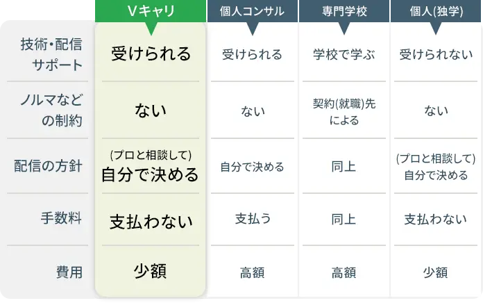 Vキャリはここが違う！既存の類似サービスと徹底比較！